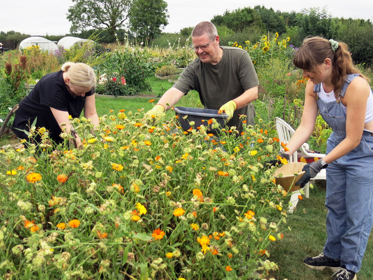 455077810 802395615386313 675564214875301098 n